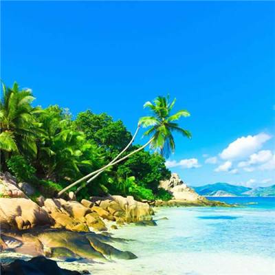 金沙8888js官方下载手机版